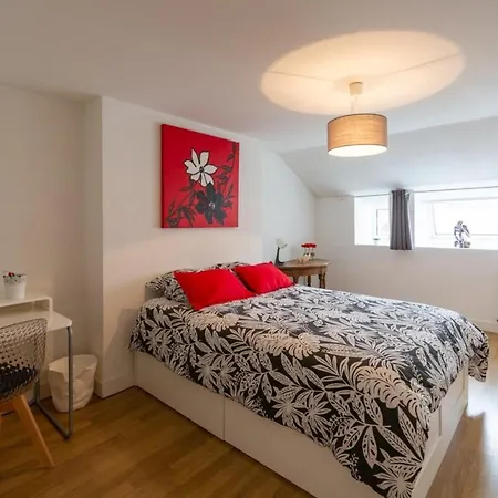 Contemporary Furnished Duplex With 3 Bedrooms Near Amenities Bordeaux