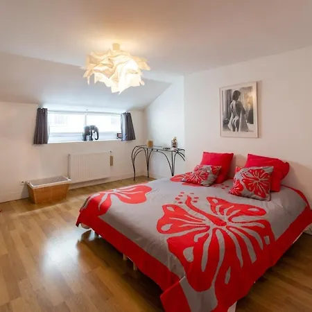 Apartmán Contemporary Furnished Duplex With 3 Bedrooms Near Amenities Bordeaux